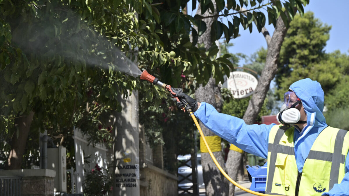Ιός Δυτικού Νείλου: Ο ΙΣΑ προειδοποιεί για κρούσματα και τον Σεπτέμβριο στην Αττική 1 Ιός Δυτικού Νείλου: Ο ΙΣΑ προειδοποιεί για κρούσματα και τον Σεπτέμβριο στην Αττική
