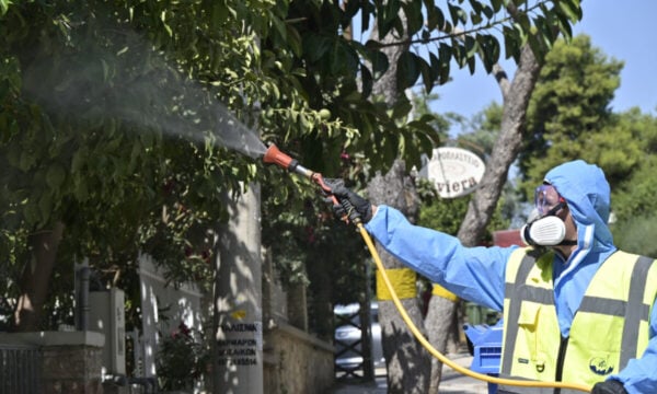 Ιός Δυτικού Νείλου: Ο ΙΣΑ προειδοποιεί για κρούσματα και τον Σεπτέμβριο στην Αττική