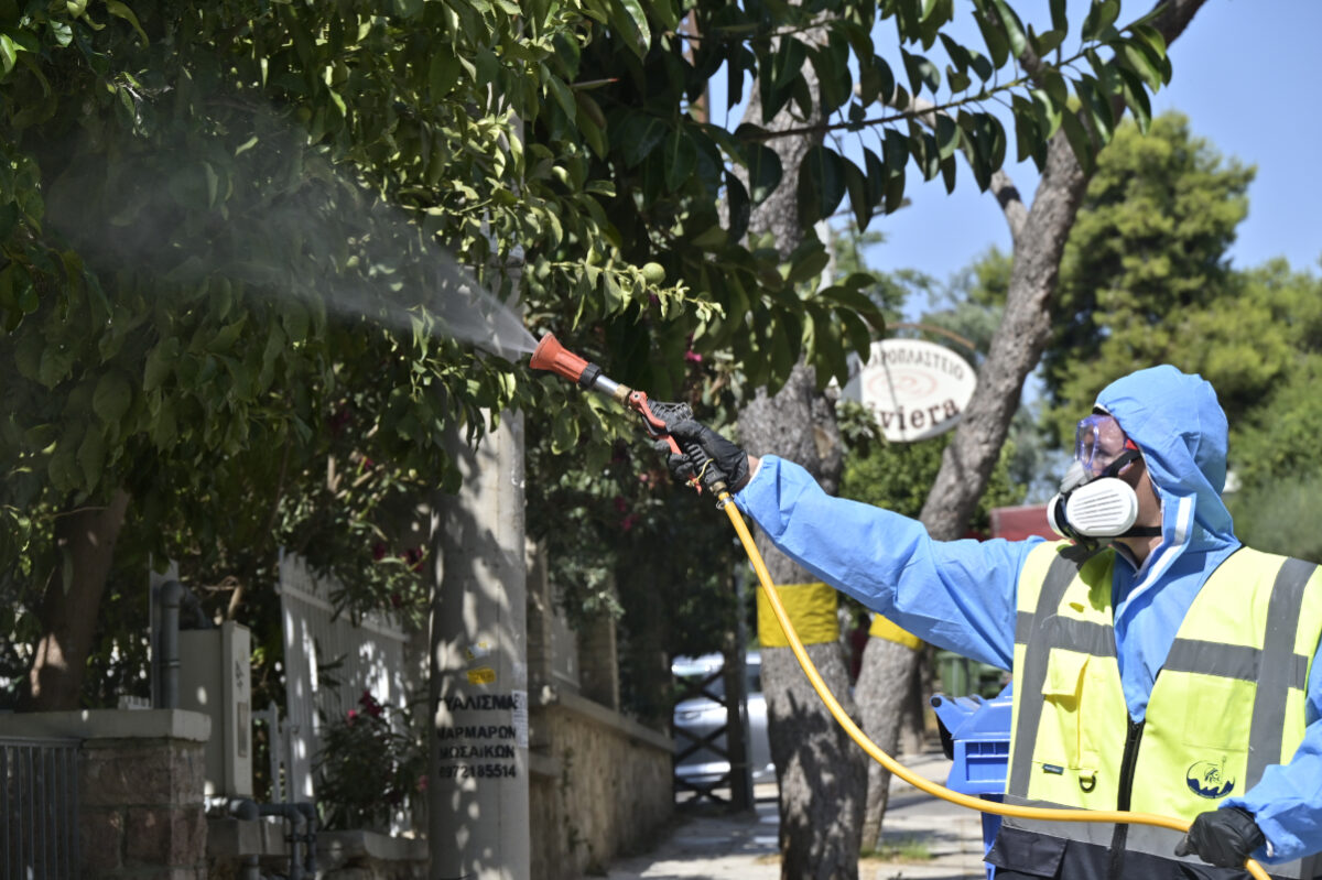 Ιός Δυτικού Νείλου: Ο ΙΣΑ προειδοποιεί για κρούσματα και τον Σεπτέμβριο στην Αττική