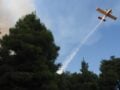 Φωτιά σε δασική έκταση στη Φούρκα Κόνιτσας: 3 εναέρια επιχειρούν στο μέτωπο