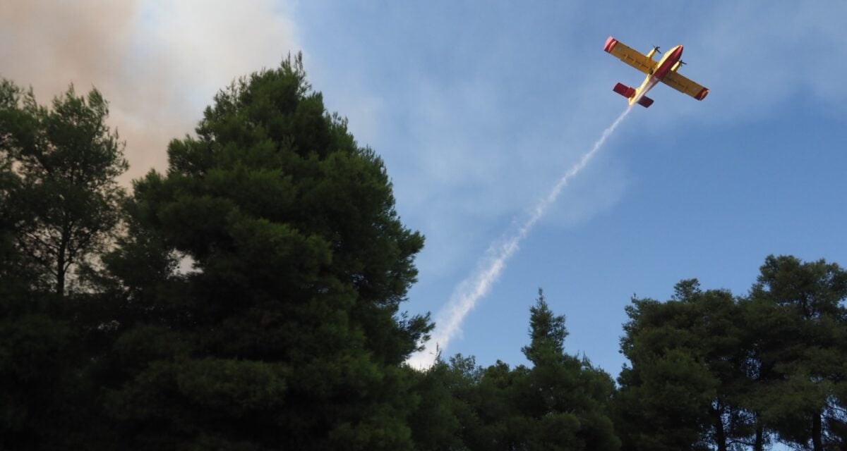 Φωτιά σε δασική έκταση στη Φούρκα Κόνιτσας: 3 εναέρια μέσα επιχειρούν στο μέτωπο 1 Φωτιά σε δασική έκταση στη Φούρκα Κόνιτσας: 3 εναέρια μέσα επιχειρούν στο μέτωπο
