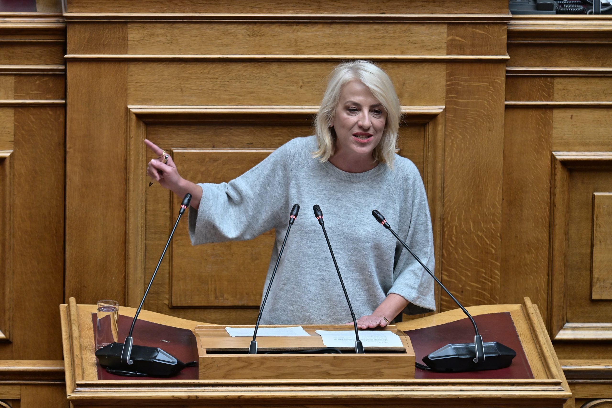 Ρένα Δούρου: Χωρίς εθνική στρατηγική η χώρα – «Πλήρης κατάρρευση του πρωτογενή τομέα» – ΒΙΝΤΕΟ