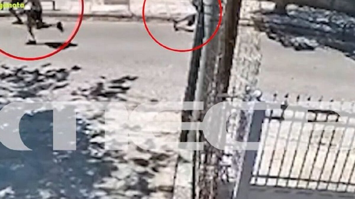 Η στιγμή που συμμορία νεαρών επιτίθεται σε ηλικιωμένη για να τη ληστέψει – Βίντεο ντοκουμέντο 1 Η στιγμή που συμμορία νεαρών επιτίθεται σε ηλικιωμένη για να τη ληστέψει – Βίντεο ντοκουμέντο