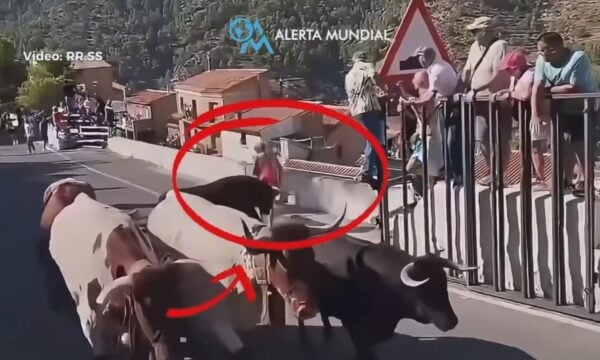 Νεκρή 64χρονη σε αγώνα ταυροδρομίας στην Ισπανία: Την πέταξε στον αέρα το μεγαλόσωμο ζώο