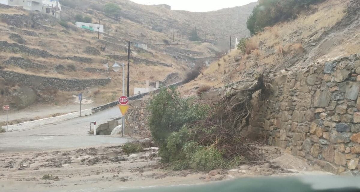 Σύρος: Πλημμύρες και πτώση δέντρου από την κακοκαιρία – Προβλήματα στην κυκλοφορία στο Ηράκλειο από ισχυρή μπόρα 2 Σύρος: Πλημμύρες και πτώση δέντρου από την κακοκαιρία – Προβλήματα στην κυκλοφορία στο Ηράκλειο από ισχυρή μπόρα