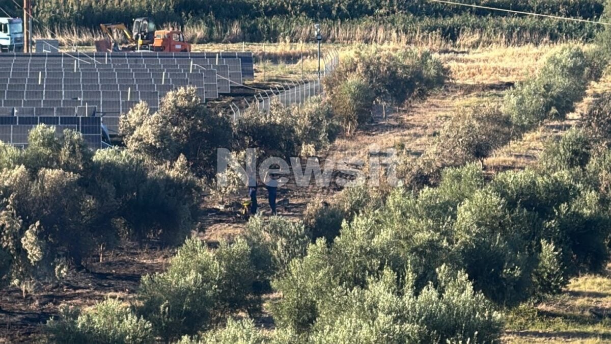 Τανάγρα: Το σημείο που εντοπίστηκαν νεκροί οι πιλότοι του Phantom – Τμήμα του αεροσκάφους κατέληξε σε εργοστάσιο μετά τη μοιραία πτώση 9 Τανάγρα