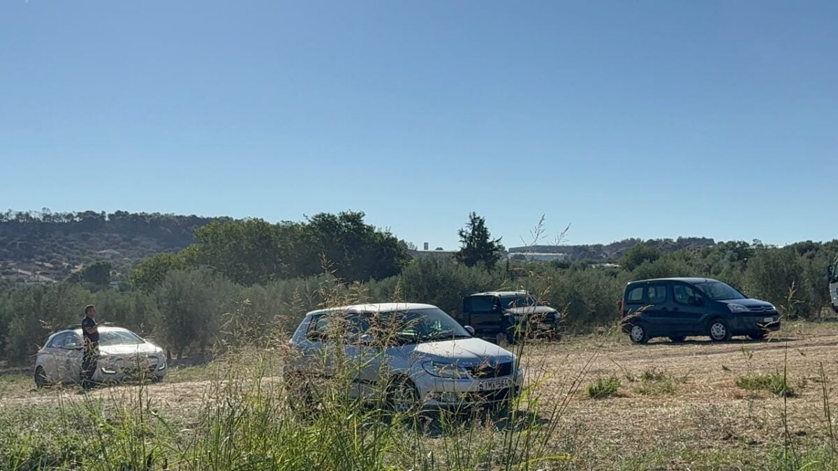 Τανάγρα: Νέο βίντεο από την ανεξέλεγκτη πορεία του Phantom πριν την θανατηφόρα πτώση – Επιχείρηση για την απομάκρυνση των συντριμμιών 9 Τανάγρα: Νέο βίντεο από την ανεξέλεγκτη πορεία του Phantom πριν την θανατηφόρα πτώση – Επιχείρηση για την απομάκρυνση των συντριμμιών