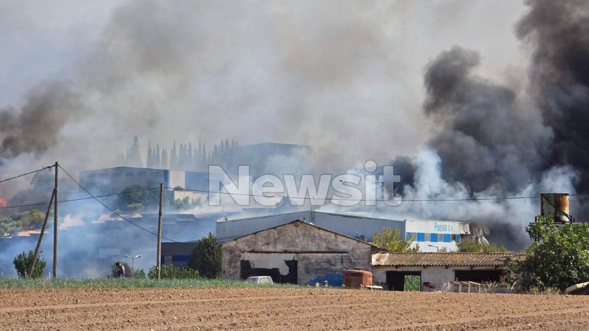 Τανάγρα: Η ανακοίνωση της Πολεμικής Αεροπορίας για τους δύο νεκρούς πιλότους από τη συντριβή του Phantom 1 Τανάγρα: Η ανακοίνωση της Πολεμικής Αεροπορίας για τους δύο νεκρούς πιλότους από τη συντριβή του Phantom