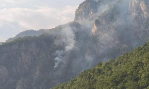 Φωτιά στην Κόνιτσα: Για 15η μέρα συνεχίζεται η «μάχη» στην Τραπεζίτσα – Στάχτη πάνω από 8.000 στρέμματα