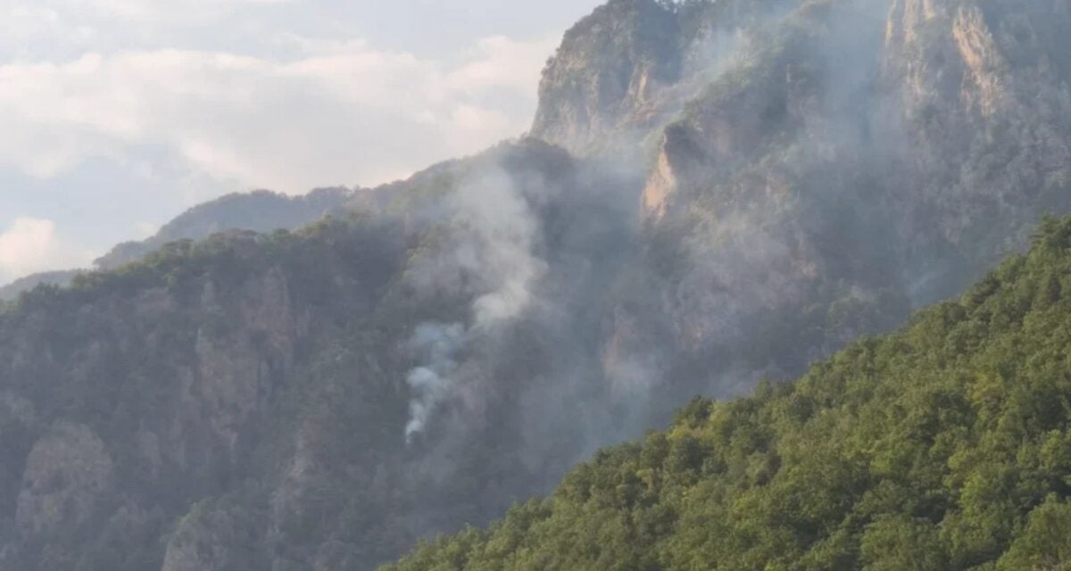 Φωτιά στην Κόνιτσα: Για 15η μέρα συνεχίζεται η «μάχη» στην Τραπεζίτσα – Στάχτη πάνω από 8.000 στρέμματα
