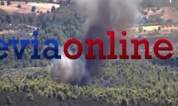 Φωτιά στην Εύβοια στην περιοχή Τριάδος: Σπεύδουν 4 εναέρια