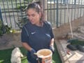 Θεσσαλονίκη: Συνελήφθη ο 22χρονος έμπορος που φέρεται να έδωσε ναρκωτικά στην 20χρονη που πέθανε