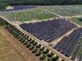 Η Masdar ενισχύεται στην Ελλάδα με μεγάλη εξαγορά φωτοβολταϊκού 550 MW και σχέδια για πράσινα data centers