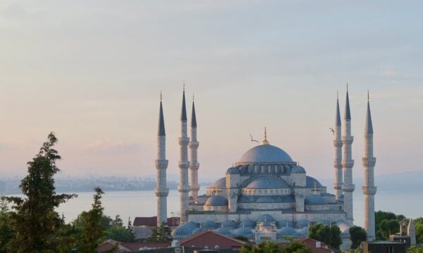 Turkish Minute: Στην Τουρκία συνελήφθησαν 36 άτομα για φερόμενο δίκτυο πώλησης ωαρίων στο εξωτερικό