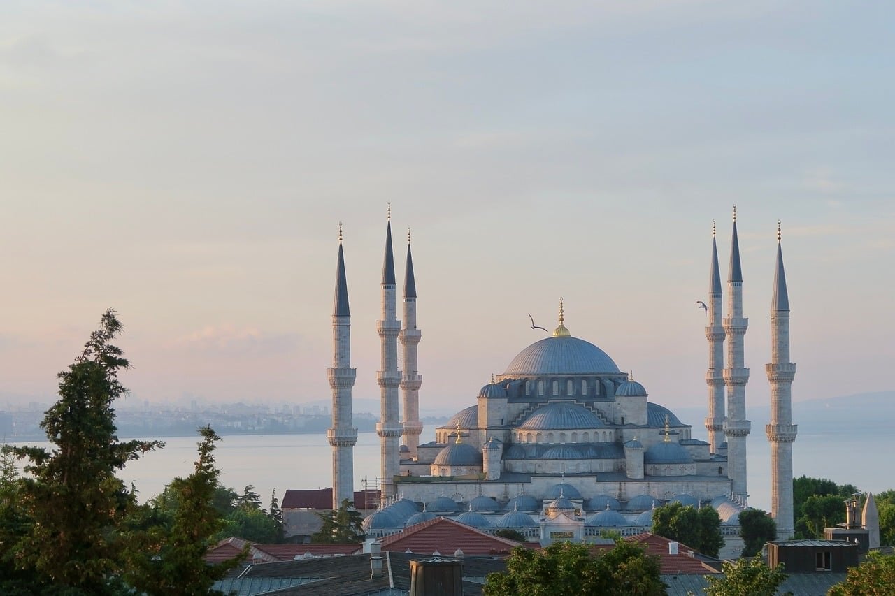 Turkish Minute: Στην Τουρκία συνελήφθησαν 36 άτομα για φερόμενο δίκτυο πώλησης ωαρίων στο εξωτερικό