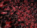Ολυμπιακός – Αρμάνι Μιλάνο: Οι ερυθρόλευκοι θέλουν το 2/2 στη «διαβολοβδομάδα» της Euroleague
