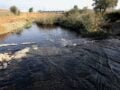 Ασωπός: Βακτήριο χολέρας εντοπίστηκε σε Οινόφυτα, Συκάμινο και Ωρωπό – Τα ευρήματα του ΠΑΚΟΕ