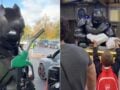 Λονδίνο: Άγνωστος μασκοφόρος «Batman» πληρώνει τα καύσιμα οδηγών, σβήνει πρόστιμα και μοιράζει φαγητό – ΒΙΝΤΕΟ