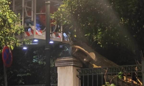 Μέγαρο Μαξίμου: Έπεσε μεγάλο δέντρο έξω από το κτίριο – Κλειστή η Ηρώδου Αττικού