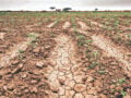 Ελ Σαλβαδόρ: Εγκρίθηκε σχέδιο έκτακτης ανάγκης για την επισιτιστική ασφάλεια λόγω Ελ Νίνιο