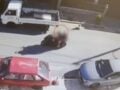 Ελευσίνα: Οι δύο συλληφθέντες ζητούν να εξαιρεθεί η ανακρίτρια για την επίθεση με μαχαίρι στον 32χρονο