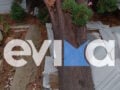 Κακοκαιρία στην Εύβοια: Μεγάλο κυπαρίσσι έπεσε πάνω σε τάφους σε νεκροταφείο