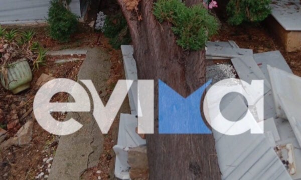 Κακοκαιρία στην Εύβοια: Μεγάλο κυπαρίσσι έπεσε πάνω σε τάφους σε νεκροταφείο
