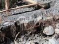 Χανιά: Στο Ξυλόσκαλο μεταφέρθηκαν οι 8 εγκλωβισμένοι εργαζόμενοι από το φαράγγι της Σαμαριάς