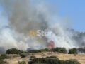 Λαμία: Φωτιά ξέσπασε από ξερά χόρτα και απειλεί το δάσος του Προφήτη Ηλία