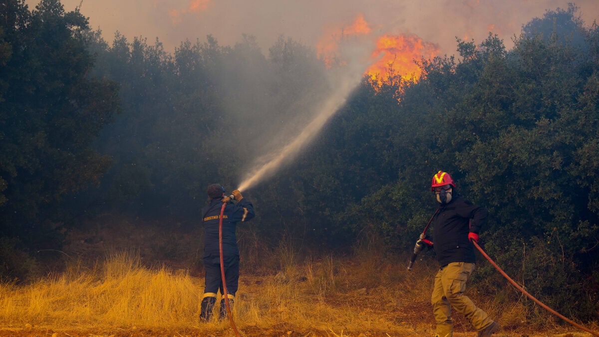 Κεφαλονιά: Φωτιά σε δασική έκταση στα Μεταξάτα – Στο σημείο τρία εναέρια μέσα 1 Κεφαλονιά: Φωτιά σε δασική έκταση στα Μεταξάτα – Στο σημείο τρία εναέρια μέσα