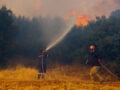 Κεφαλονιά: Φωτιά σε δασική έκταση στα Μεταξάτα – Στο σημείο τρία εναέρια μέσα