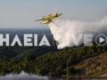 Ηλεία: Φωτιά στην Τριανταφυλλιά με ισχυρές δυνάμεις της Πυροσβεστικής στο σημείο