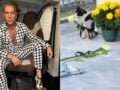 Μαζωνάκης: Η γατούλα που μένει μέρα-νύχτα στον τάφο του κουβάλησε λευκό τριαντάφυλλο και του το έδωσε – Ρίγη συγκίνησης (βίντεο)