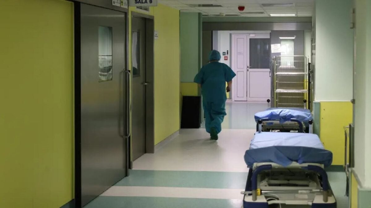 Ρωσία: Επιβεβαιώθηκαν πέντε κρούσματα ευλογιάς των πιθήκων στην Αγία Πετρούπολη – Σε επιφυλακή οι υγειονομικές Αρχές 1 Ρωσία: Επιβεβαιώθηκαν πέντε κρούσματα ευλογιάς των πιθήκων στην Αγία Πετρούπολη – Σε επιφυλακή οι υγειονομικές Αρχές