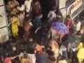 Καλκούτα: Τουλάχιστον 19 νεκροί από ποδοπάτημα σε ινδουιστική θρησκευτική γιορτή