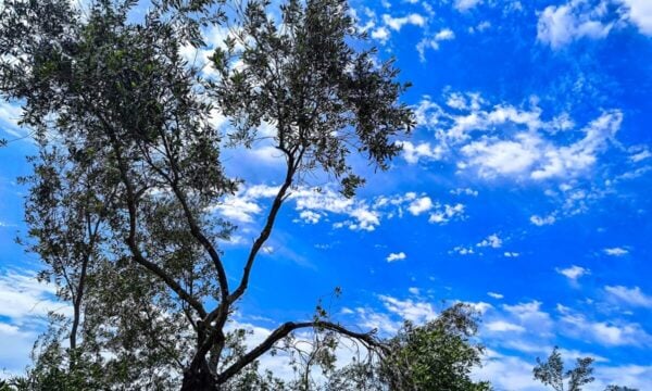 Καιρός σήμερα: Κυριαρχεί ηλιοφάνεια με λίγες νεφώσεις – Στους 27 βαθμούς η θερμοκρασία
