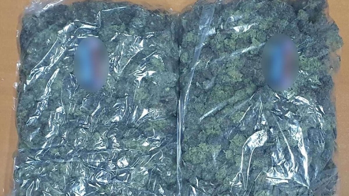 Βόρεια Ελλάδα: Πάνω από 10 κιλά κάνναβης βρέθηκαν σε αποθήκη καθηγητή μέσης εκπαίδευσης 1 Βόρεια Ελλάδα: Πάνω από 10 κιλά κάνναβης βρέθηκαν σε αποθήκη καθηγητή μέσης εκπαίδευσης