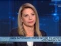 Καρυστιανού: Η δικαστική διαδικασία δεν θα δικαιώσει τις οικογένειες – Τι είπε για τον Τριαντόπουλο