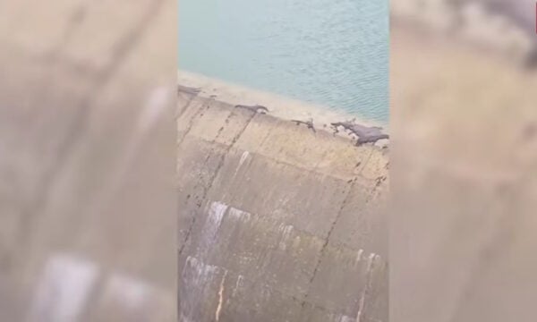 Φράγμα Ποταμών Αμαρίου: Ιστορική υπερχείλιση τον Οκτώβριο – Στα 22,5 εκατ. κυβικά μέτρα ο ταμιευτήρας στο Ρέθυμνο της Κρήτης