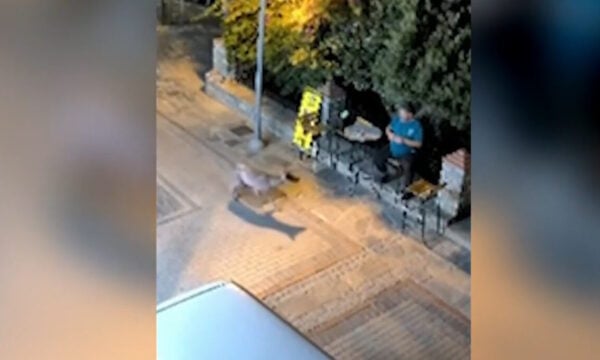 Χαλκιδική: Λύκος κινείται κοντά σε κάτοικο στη Νικήτη – Προβληματισμός στην τοπική κοινωνία