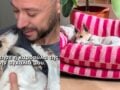 Μιλού: Ο Γρηγόρης Κορπίδης την έχασε στην αγκαλιά του – Σπαραγμός για τον TikToker: «Σταμάτησε η καρδούλα της»