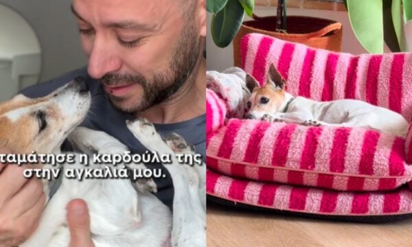 Μιλού: Ο Γρηγόρης Κορπίδης την έχασε στην αγκαλιά του – Σπαραγμός για τον TikToker: «Σταμάτησε η καρδούλα της»
