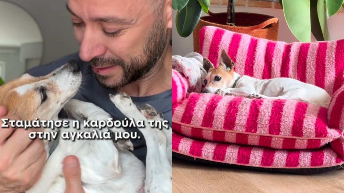 Μιλού: Ο Γρηγόρης Κορπίδης την έχασε στην αγκαλιά του – Σπαραγμός για τον TikToker: «Σταμάτησε η καρδούλα της»