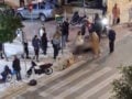 Πετρούπολη: Οι συνθήκες του τροχαίου που κόστισε τη ζωή στον 24χρονο – Συνελήφθη ο 17χρονος οδηγός μηχανής