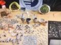 Σέρρες: Σε στάνη εντοπίστηκαν ναρκωτικά, αρχαία νομίσματα, κοσμήματα και αντικείμενα