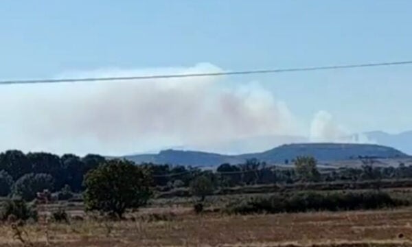 Σουφλί: Η μεγάλη φωτιά από τη Βουλγαρία μπήκε στην Ελλάδα – Ισχυρές δυνάμεις στα σύνορα