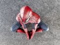 Νέα Υόρκη: Εκατοντάδες θαυμαστές του Spider-Man επιχειρούν παγκόσμιο ρεκόρ στο New York Comic Con, vid