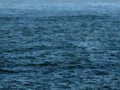 Χοσέ Σαλβαδόρ Αλβαρένγκα: Ο άνθρωπος που άντεξε 438 ημέρες στη θάλασσα πίνοντας αίμα χελώνας