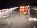 Λάρισα: Αγριογούρουνα επιχείρησαν να διασχίσουν την Εθνική Οδό και προκάλεσαν τροχαίο