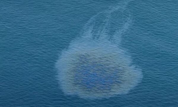 ΗΑΕ: Πετρελαιοκηλίδα από τάνκερ έκλεισε τις παραλίες της Ουμ Αλ Κουέιν – Δείτε βίντεο